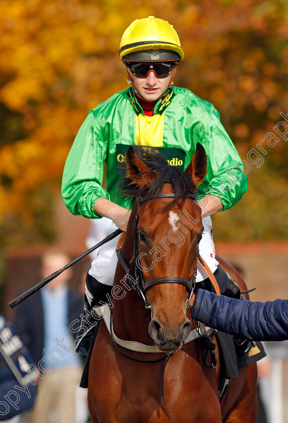 Angel-Of-Peace-0001 
 ANGEL OF PEACE (Tom Marquand)
Newmarket 19 Oct 2022 - Pic Steven Cargill / Racingfotos.com