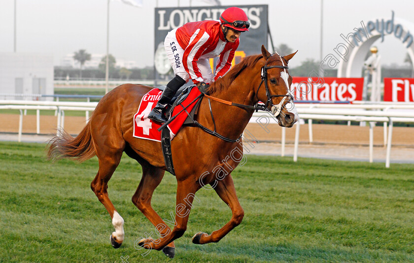 Rodaini-0001 
 RODAINI (Silvestre De Sousa) Meydan 10 Mar 2018 - Pic Steven Cargill / Racingfotos.com