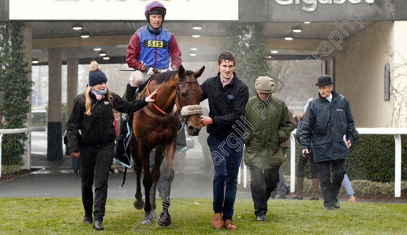 La-Bague-Au-Roi-0006 
 LA BAGUE AU ROI (Noel Fehily) after The OLBG.com Mares Hurdle Ascot 20 Jan 2018 - Pic Steven Cargill / Racingfotos.com