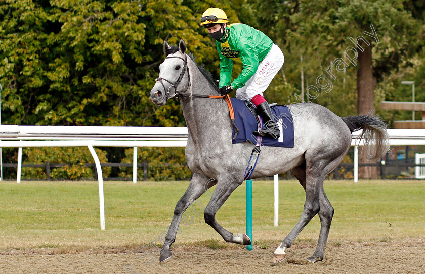 With-Respect-0001 
 WITH RESPECT (Oisin Murphy)
Lingfield 4 Aug 2020 - Pic Steven Cargill / Racingfotos.com