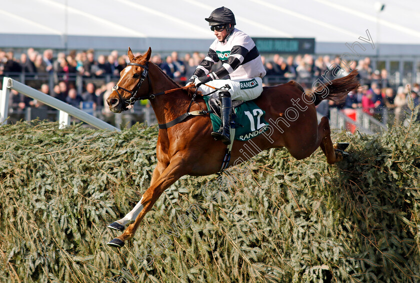 Fier-Jaguen-0001 
 FIER JAGUEN (Bradley Gibbs)
Aintree 13 Apr 2023 - Pic Steven Cargill / Racingfotos.com