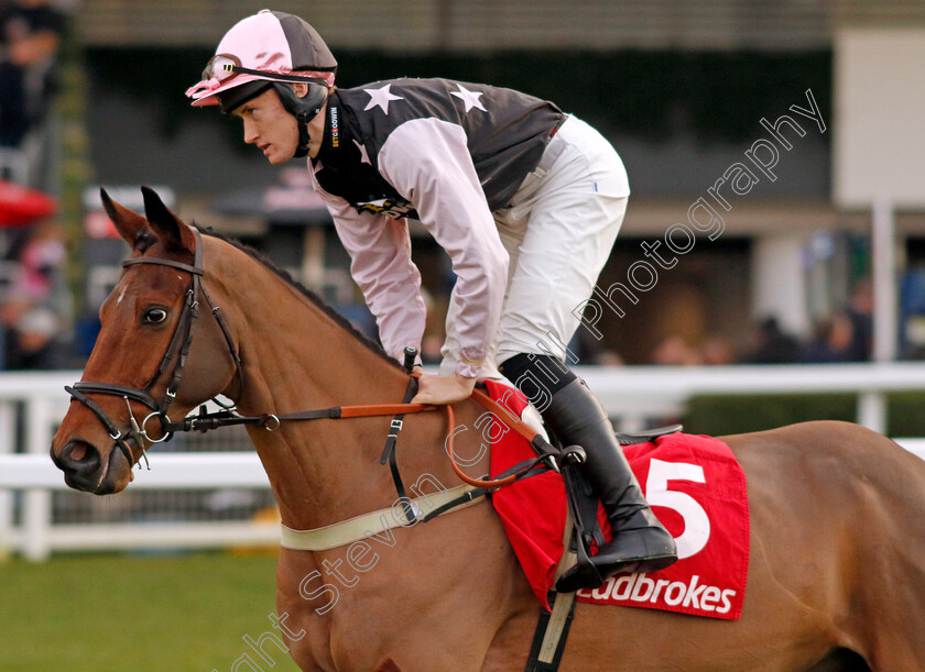 Our-Champ-0001 
 OUR CHAMP (Freddie Gordon)
Ascot 21 Dec 2024 - Pic Steven Cargill / Racingfotos.com