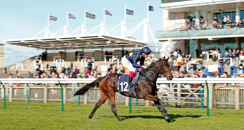 Wild-Impala-0002 
 WILD IMPALA (Frankie Dettori) wins The Rewards4racing Fillies Novice Median Auction Stakes Div1 Newmarket 25 Oct 2017 - Pic Steven Cargill / Racingfotos.com