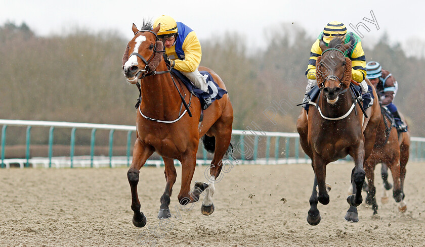 Renardeau-0004 
 RENARDEAU (left, Tom Marquand) beats GIVING GLANCES (right) in The Betway Handicap
Lingfield 4 Mar 2020 - Pic Steven Cargill / Racingfotos.com