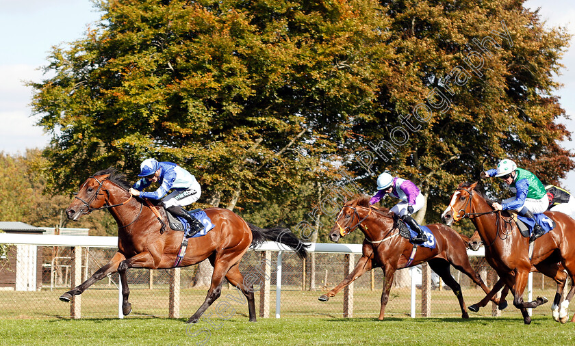 Stormwave-0002 
 STORMWAVE (Harry Bentley) wins The PKF Francis Clark EBF Novice Stakes Div2
Salisbury 3 Oct 2018 - Pic Steven Cargill / Racingfotos.com