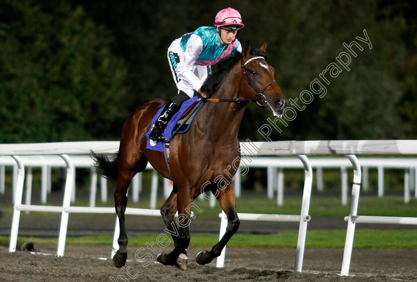 Breath-Caught-0002 
 BREATH CAUGHT (Harry Bentley) before The 32Red Casino Handicap
Kempton 27 Sep 2018 - Pic Steven Cargill / Racingfotos.com