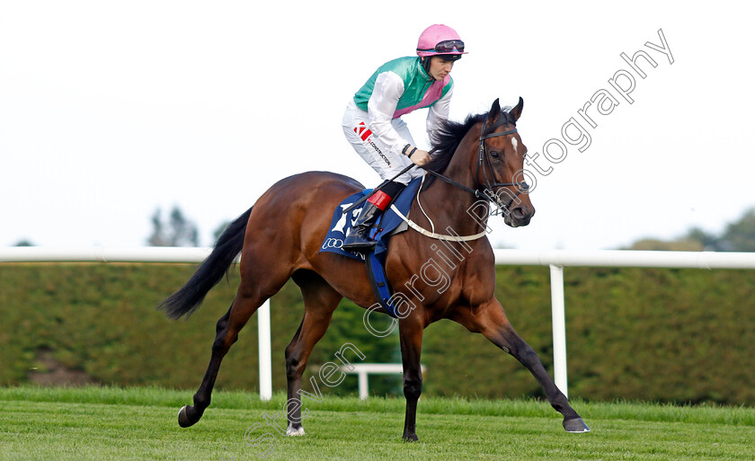 Zarinsk-0001 
 ZARINSK (Colin Keane)
Leopardstown 9 Sep 2023 - Pic Steven Cargill / Racingfotos.com