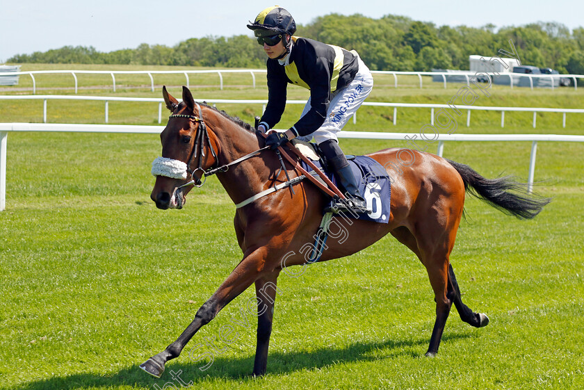 Virtuoso 
 VIRTUOSO (William Cox)
Chepstow 27 May 2022 - Pic Steven Cargill / Racingfotos.com