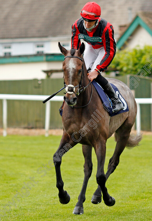 Graystone-0001 
 GRAYSTONE (Daniel Muscutt) winner of The Quinnbet casino.com Handicap
Yarmouth 1 Jul 2021 - Pic Steven Cargill / Racingfotos.com