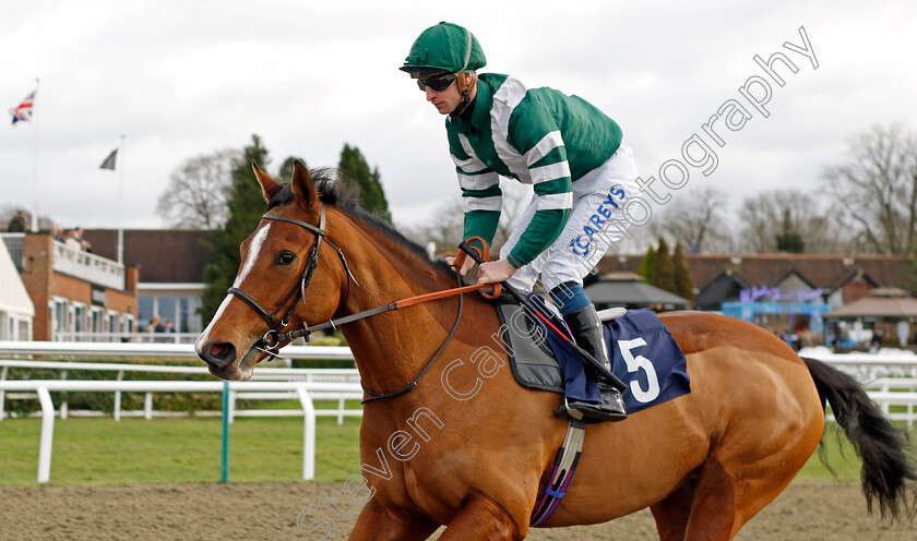 Double-Tot-0001 
 DOUBLE TOT (Joey Haynes)
Lingfield 23 Dec 2023 - Pic Steven Cargill / Racingfotos.com