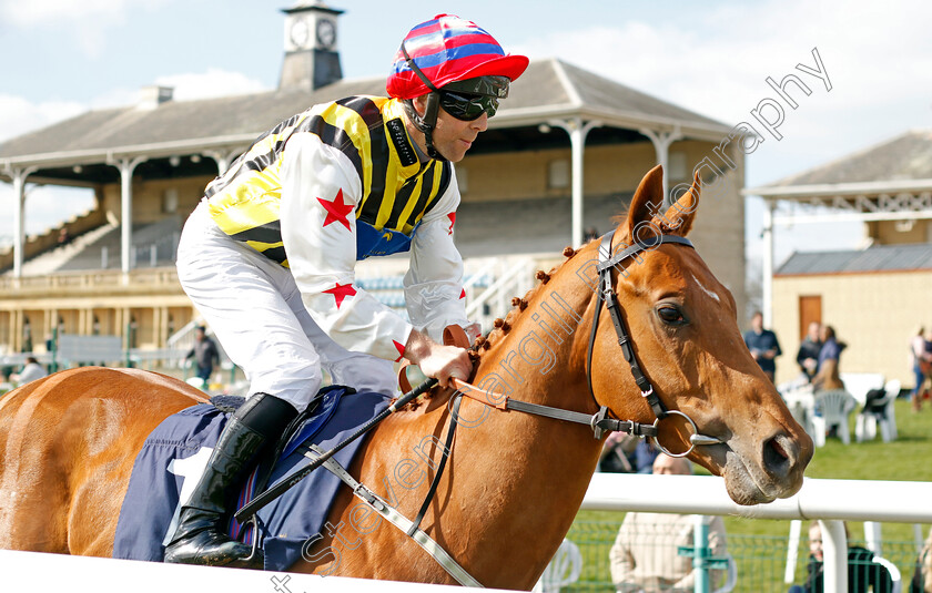 Mr-Squires-0001 
 MR SQUIRES (Ben Curtis)
Doncaster 2 Apr 2023 - Pic Steven Cargill / Racingfotos.com