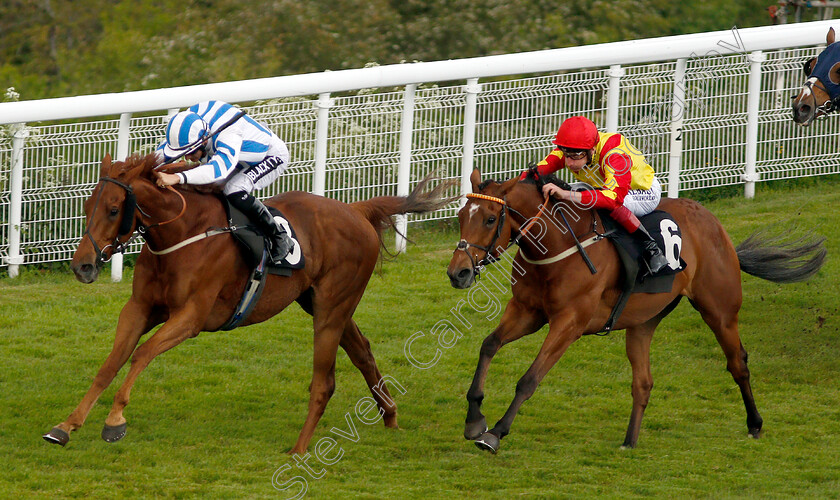 Age-Of-Wisdom-0002 
 AGE OF WISDOM (left, Harry Bentley) beats KNIGHT CRUSADER (right) in The thamesmaterials.com Handicap
Goodwood 24 May 2019 - Pic Steven Cargill / Racingfotos.com