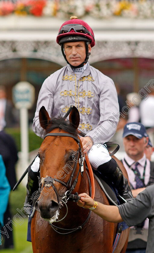 Lusail-0008 
 LUSAIL (Pat Dobbs) after The Al Basti Equiworld Gimcrack Stakes
York 20 Aug 2021 - Pic Steven Cargill / Racingfotos.com