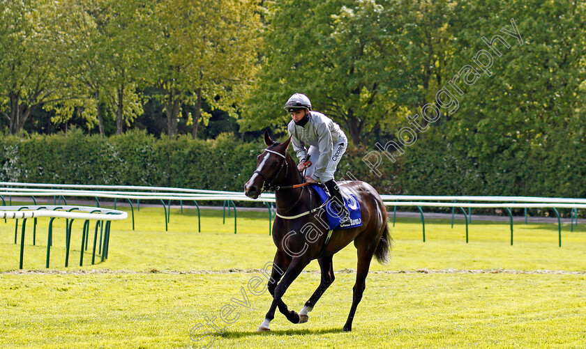 Lady-In-France-0001 
 LADY IN FRANCE (Daniel Tudhope)
Haydock 22 May 2021 - Pic Steven Cargill / Racingfotos.com