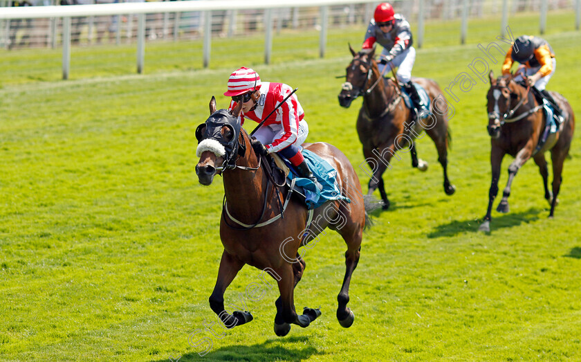 Menelaus-0003 
 MENELAUS (Connor Planas) wins The Andy Thornton Hospitality Furniture Handicap
York 16 Jun 2023 - Pic Steven Cargill / Racingfotos.com