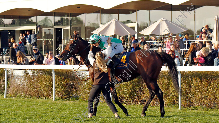 Best-Of-Lips-0014 
 BEST OF LIPS (Hugo Boutin) winner of The Stockholm Cup International
Bro Park, Sweden , 15 Sep 2024 - Pic Steven Cargill / Racingfotos.com