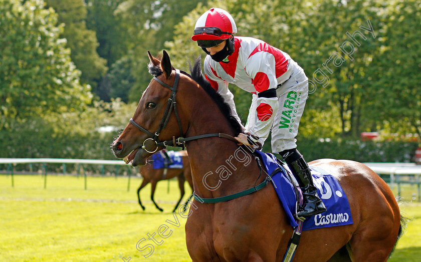 Liberty-Beach-0001 
 LIBERTY BEACH (Jason Hart) winner of The Casumo Best Odds Guaranteed Temple Stakes
Haydock 22 May 2021 - Pic Steven Cargill / Racingfotos.com