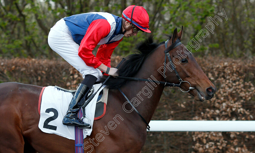 Just-Brilliant-0002 
 JUST BRILLIANT (James Doyle)
Kempton 3 Apr 2019 - Pic Steven Cargill / Racingfotos.com