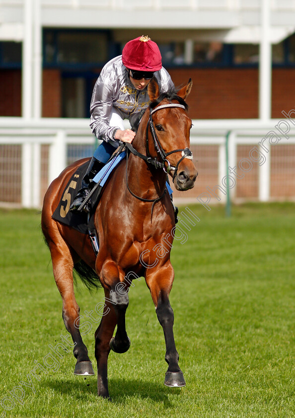 Medyaf-0001 
 MEDYAF (William Buick)
Nottingham 13 Oct 2021 - Pic Steven Cargill / Racingfotos.com