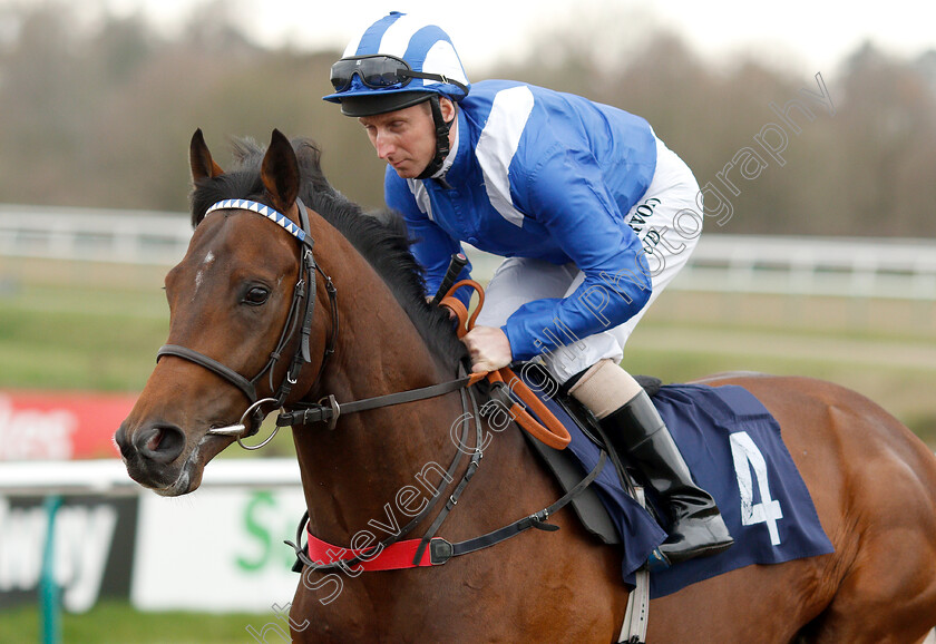 Mohtarrif-0002 
 MOHTARRIF (Martin Dwyer) winner of The Ladbrokes Home Of The Odds Boost Novice Stakes
Lingfield 23 Mar 2019 - Pic Steven Cargill / Racingfotos.com