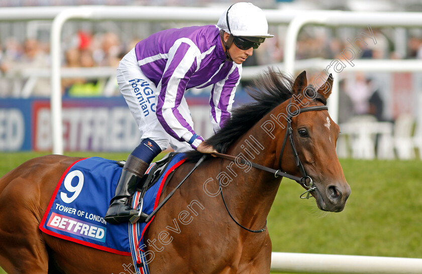 Tower-Of-London-0003 
 TOWER OF LONDON (Jim Crowley)
Doncaster 16 Sep 2023 - Pic Steven Cargill / Racingfotos.com