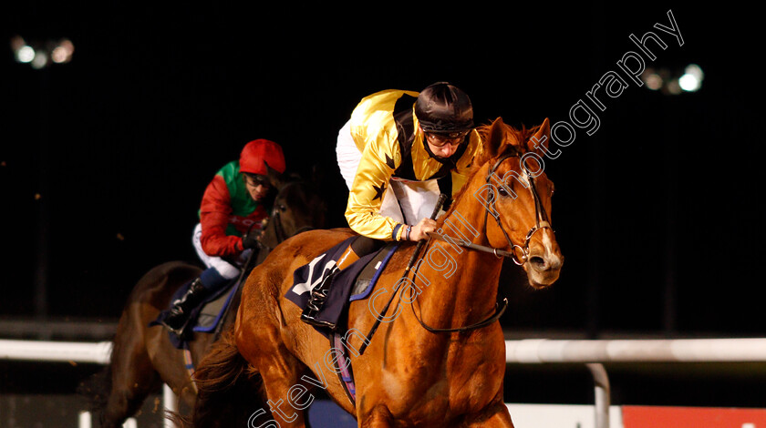 Eldelbar-0004 
 ELDELBAR (Sam James) wins The Bombardier British Hopped Amber Beer Handicap
Wolverhampton 1 Feb 2021 - Pic Steven Cargill / Racingfotos.com