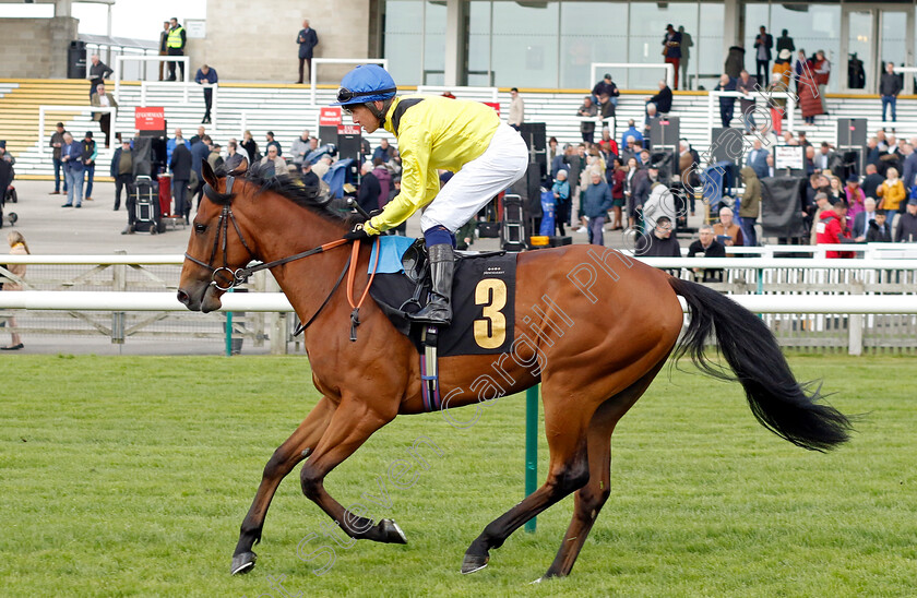 Daarree-0001 
 DAARREE (Jim Crowley)
Newmarket 18 Apr 2023 - Pic Steven Cargill / Racingfotos.com