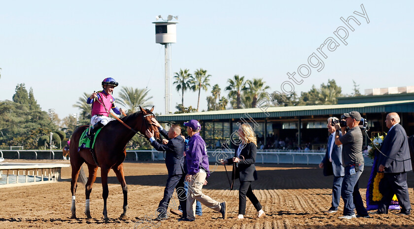 Just-F-Y-I-0009 
 JUST F Y I (Junior Alvorado) winner of The Breeders' Cup Juvenile Fillies
Santa Anita 3 Nov 2023 - Pic Steven Cargill / Racingfotos.com