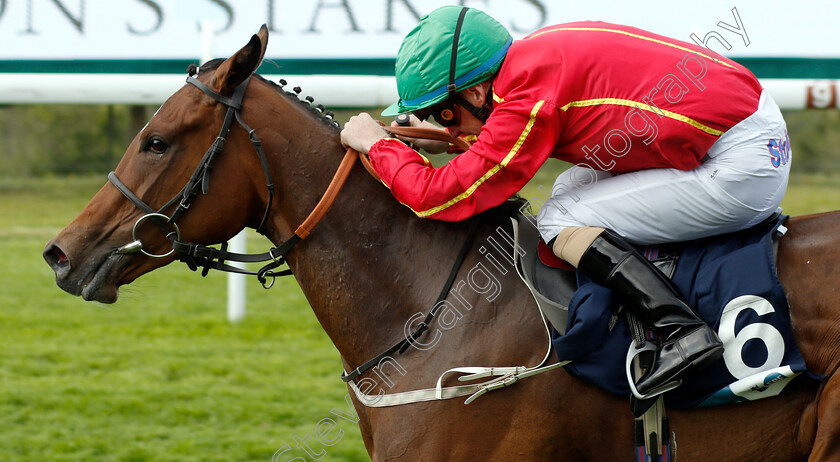 Mrs-Bouquet-0004 
 MRS BOUQUET (Joe Fanning) wins The EBF Alice Keppel Fillies Conditions Stakes
Goodwood 31 Jul 2019 - Pic Steven Cargill / Racingfotos.com