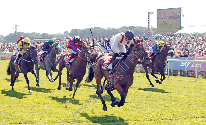 Hamish-0002 
 HAMISH (James Doyle) wins The Sky Bet Melrose Stakes
York 24 Aug 2019 - Pic Steven Cargill / Racingfotos.com