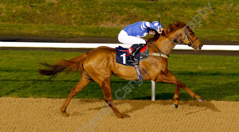 Bollihope-0004 
 BOLLIHOPE (Robert Havlin) wins The Betway Casino Handicap
Wolverhampton 7 Jan 2019 - Pic Steven Cargill / Racingfotos.com