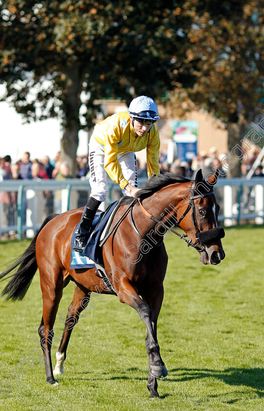 Moll-Davis-0001 
 MOLL DAVIS (Jamie Spencer)
Yarmouth 18 Sep 2019 - Pic Steven Cargill / Racingfotos.com