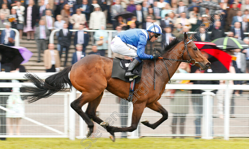 Mutawaffer-0006 
 MUTAWAFFER (Jim Crowley) wins The EBF Novice Stakes Goodwood 24 May 2018 - Pic Steven Cargill / Racingfotos.com