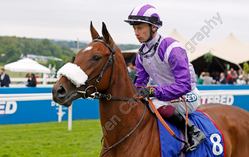 Secret-Satire-0002 
 SECRET SATIRE (Oisin Murphy)
Epsom 31 May 2024 - Pic Steven Cargill / Racingfotos.com