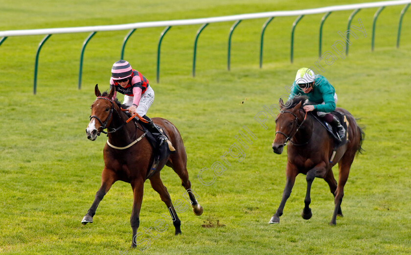 Many-Men-0003 
 MANY MEN (Jack Doughty) beats ANNIVERSARY (Rob Hornby) in The British StallionStuds EBF Future Stayers Nursery
Newmarket 23 Oct 2024 - Pic Steven Cargill / Racingfotos.com