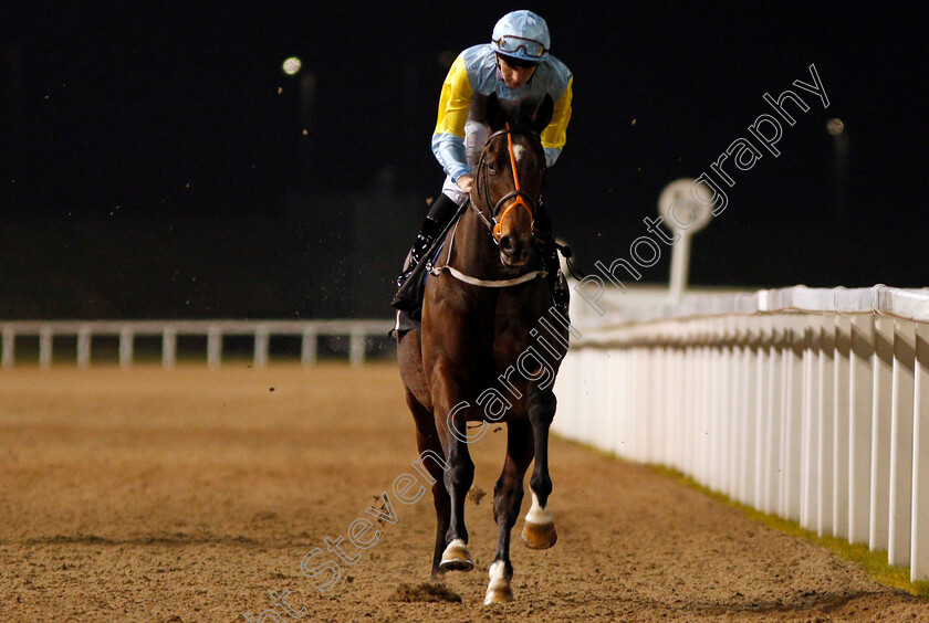 Balkhash-0001 
 BALKHASH (Hector Crouch) Chelmsford 23 Nov 2017 - Pic Steven Cargill / Racingfotos.com