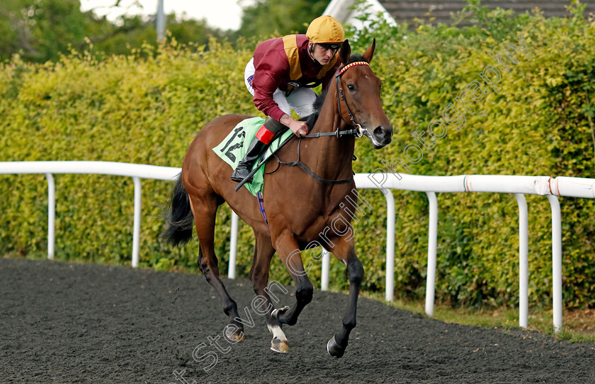 Three-On-Thursday-0001 
 THREE ON THURSDAY (Rhys Clutterbuck)
Kempton 16 Jul 2024 - Pic Steven Cargill / Racingfotos.com