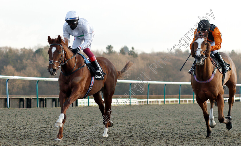 Wissahickon-0005 
 WISSAHICKON (Frankie Dettori) beats BIG COUNTRY (right) in The Betway Winter Derby Trial Stakes
Lingfield 2 Feb 2019 - Pic Steven Cargill / Racingfotos.com