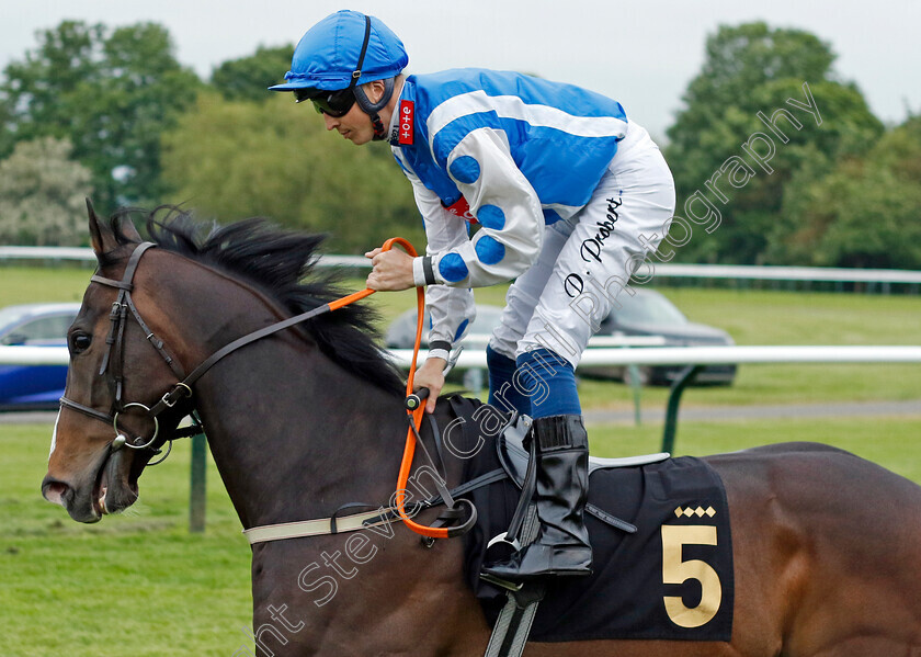 Bert-Kibbler-0001 
 BERT KIBBLER (David Probert)
Nottingham 30 May 2023 - Pic Steven Cargill / Racingfotos.com