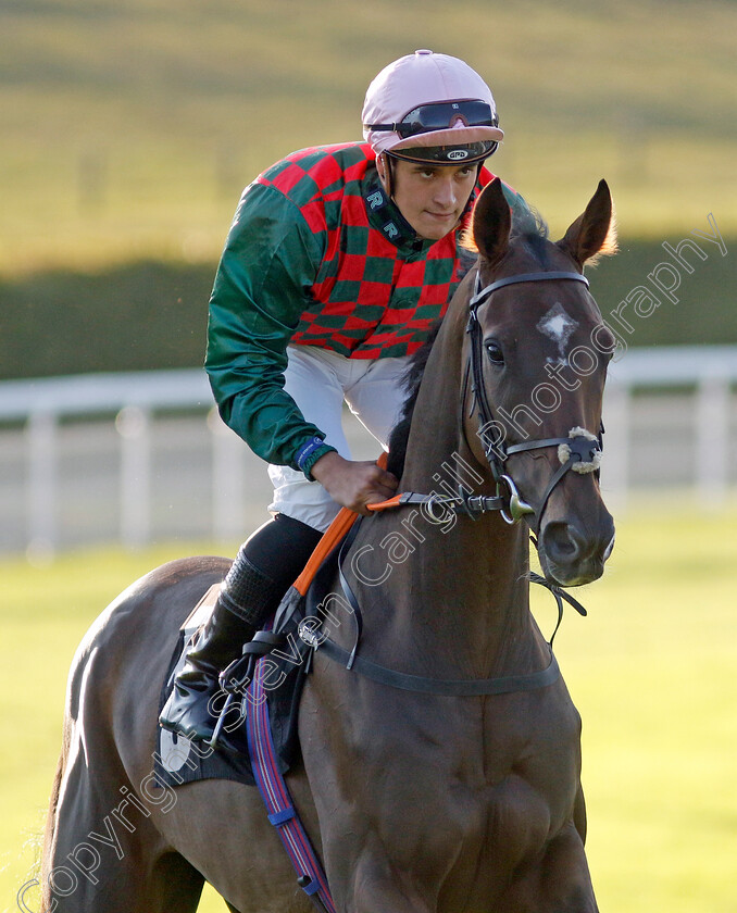 Mountain-Queen-0001 
 MOUNTAIN QUEEN (Pierre-Louis Jamin)
Goodwood 26 Aug 2022 - Pic Steven Cargill / Racingfotos.com