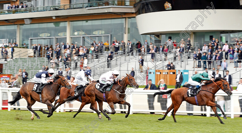 Riviera-Nights-0001 
 RIVIERA NIGHTS (William Buick) beats ARCHAEOLOGY (centre) and GOLDEN FORCE (left) in The Garden For All Seasons Handicap
Ascot 6 Sep 2019 - Pic Steven Cargill / Racingfotos.com