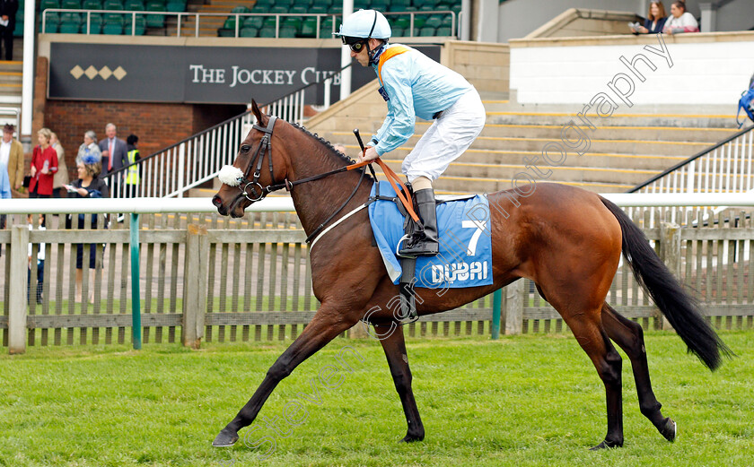 Misty-Ayr 
 MISTY AYR (Joe Fanning)
Newmarket 8 Oct 2021 - Pic Steven Cargill / Racingfotos.com