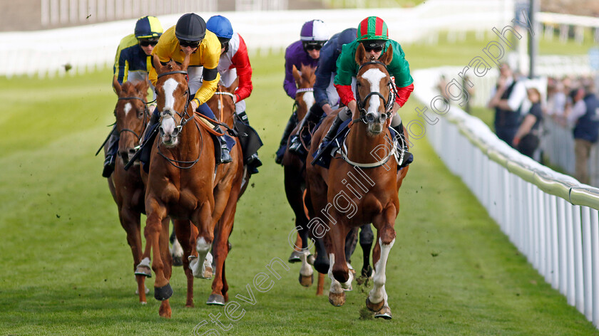 Hoffman-and-Trojan-Horse 
 HOFFMAN (left, David Probert) with TROJAN HORSE (right, Franny Norton)
Chester 5 May 2022 - Pic Steven Cargill / Racingfotos.com