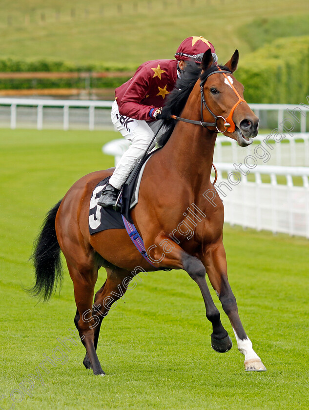 Dayyan 
 DAYYAN (Sean Levey) 
Goodwood 20 May 2022 - Pic Steven Cargill / Racingfotos.com