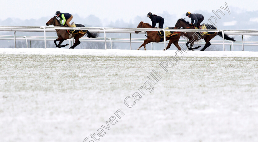 Newmarket-Snow-0013 
 Racehorses training in the snow at Newmarket
1 Feb 2019 - Pic Steven Cargill / Racingfotos.com