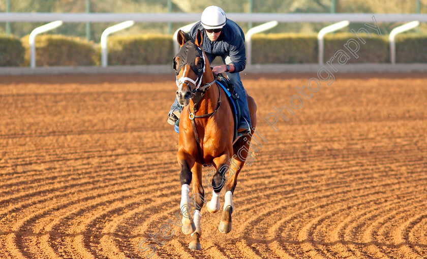 Mandaloun-0006 
 MANDALOUN training for the Saudi Cup
King Abdulaziz Racetrack, Riyadh, Saudi Arabia 22 Feb 2022 - Pic Steven Cargill / Racingfotos.com