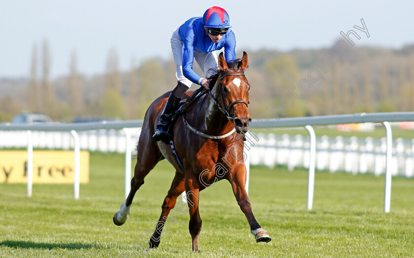 Adorable-0005 
 ADORABLE (James Doyle) wins The Coln Valley Stud Bridget Maiden Fillies Stakes Newbury 20 Apr 2018 - Pic Steven Cargill / Racingfotos.com