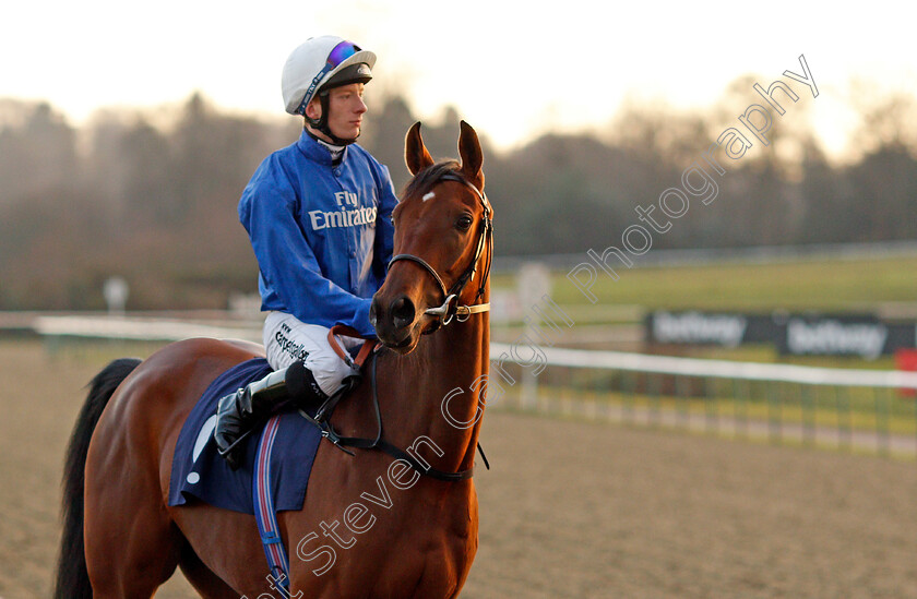 Spring-Waterfall-0002 
 SPRING WATERFALL (Edward Greatrex) Lingfield 10 Jan 2018 - Pic Steven Cargill / Racingfotos.com