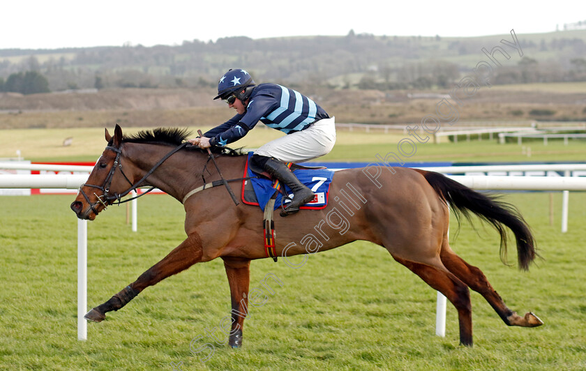 Ney-0004 
 NEY (Kieren Buckley) wins The Sky Bet Beginners Chase
Punchestown 12 Jan 2025 - Pic Steven Cargill / Racingfotos.com