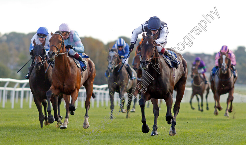 Able-Kane-0003 
 ABLE KANE (Oisin Murphy) beats TOMFRE (left) in The Every Race Live On Racing TV Handicap 
Leicester 12 Oct 2021 - Pic Steven Cargill / Racingfotos.com